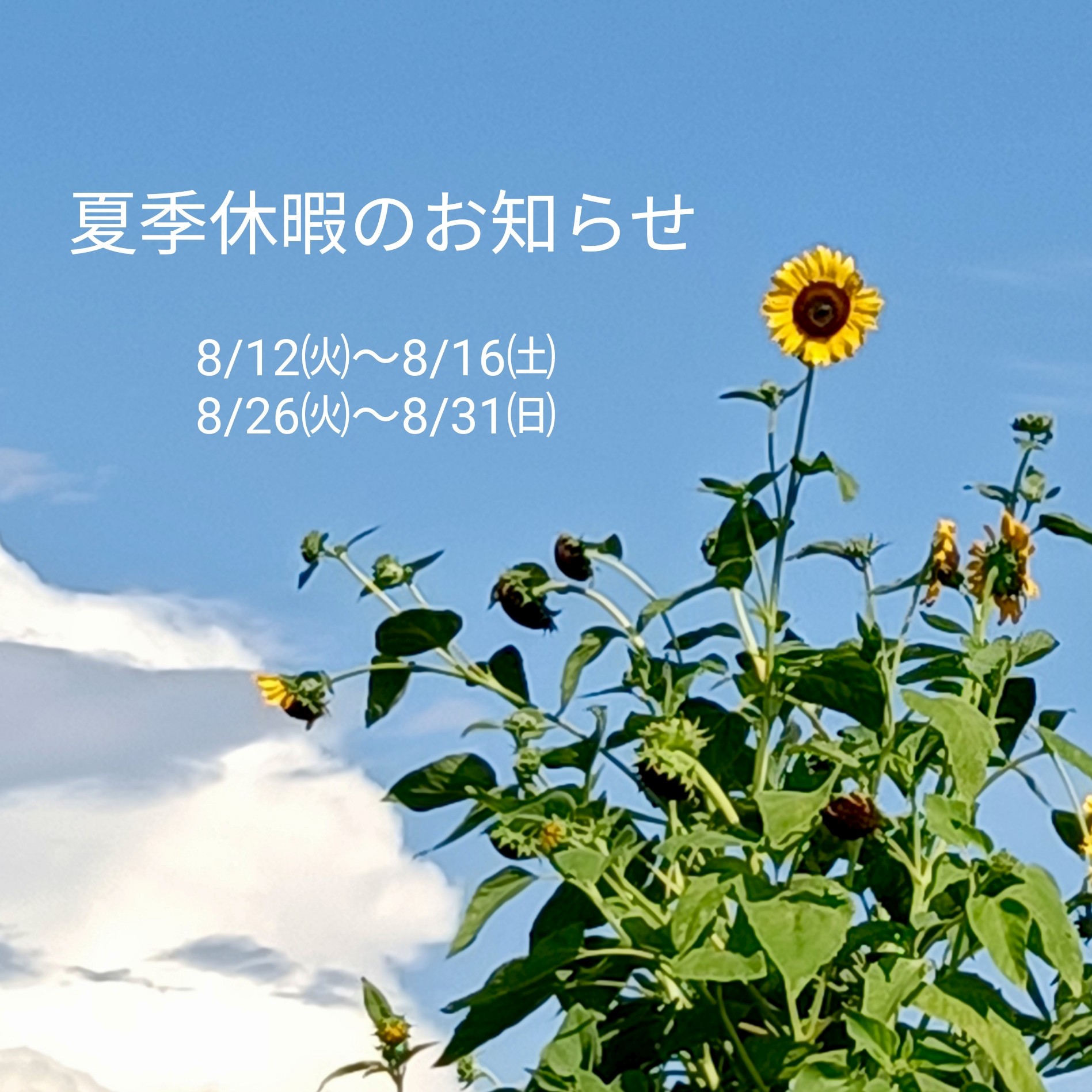 夏季休暇